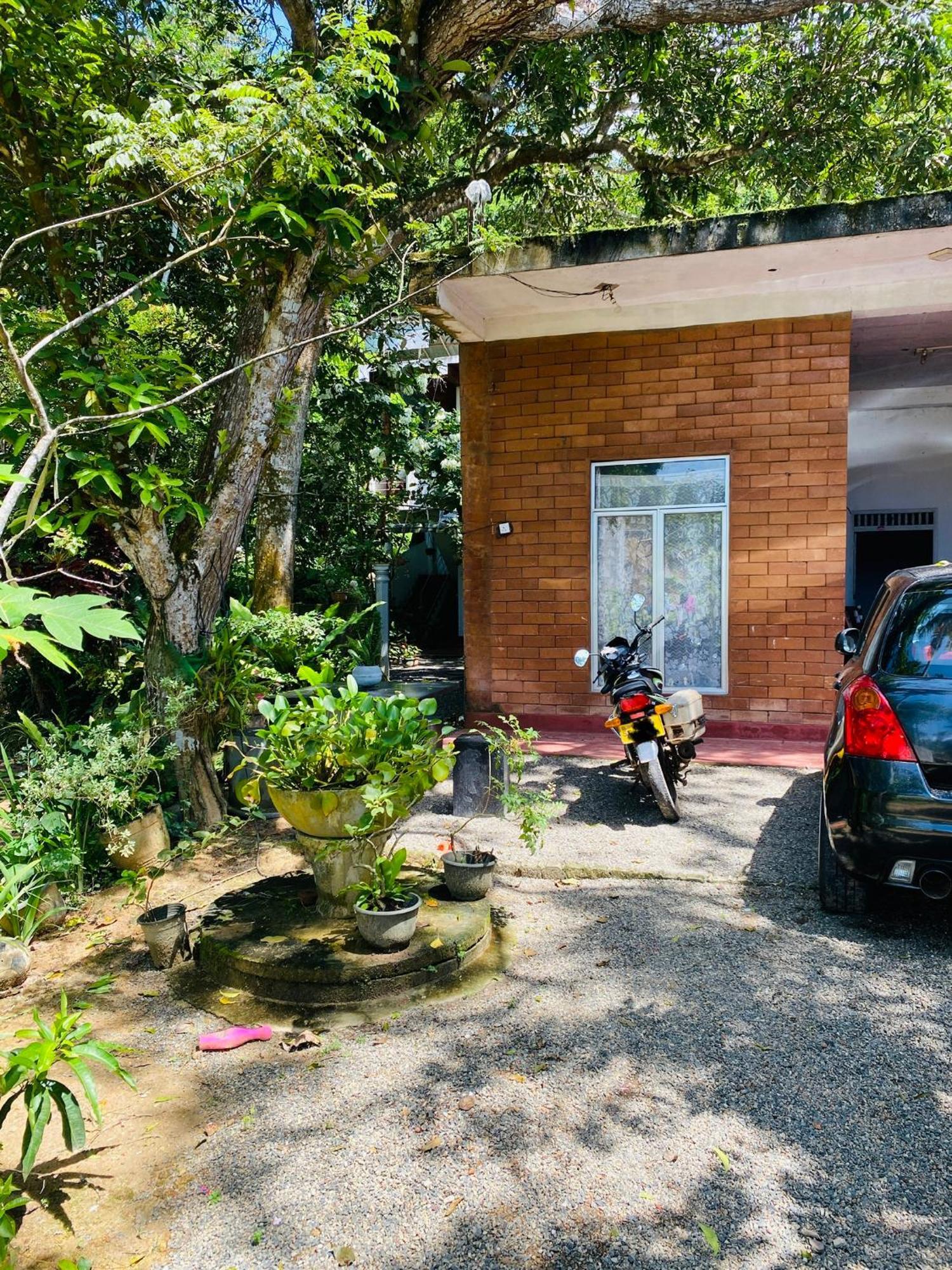 Little Mount Guest House Mirissa Εξωτερικό φωτογραφία