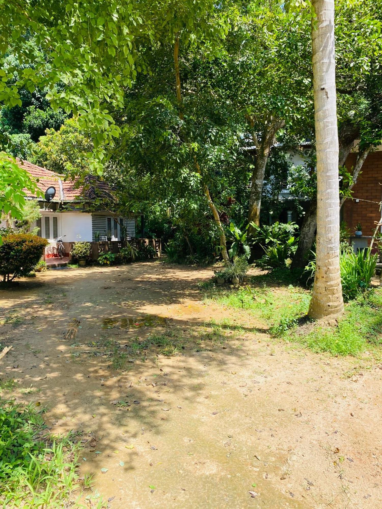 Little Mount Guest House Mirissa Εξωτερικό φωτογραφία